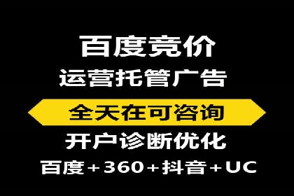 成功SEM服务案例分析报告